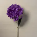 72-Head Hydrangea