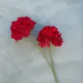 Künstliche rote Seide Hortensien Blumen Stängel für Hochzeit Party Heim Deko Requisiten. - 2-Kopf Hortensie Mit Verbranntem Rand