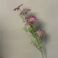 Sun Flower