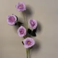 5-Head Bubble Rose