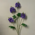 4-Head Rapeseed Flower