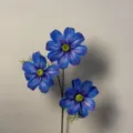 3-Head Cosmos