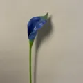 3D Printed Calla Lily