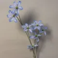 Blue-Purple Clematis