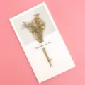 Carte de vœux exquise avec fleurs séchées pour anniversaire, fête et cadeaux de bénédiction. - Style Gypsohpile Blanc