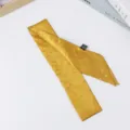 Elegant gold rhinestone skinny scarf, versatile hair tie and bag ribbon streamer for women. - Ginger Yellow