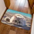 Detailed view of the 3D visual cute cat non-slip absorbent floor mat for home decor use. - Beach Silver Shaded Cat Style