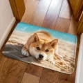 Shiba Inu dog floor mat 3D visual cute doormat non-slip absorbent bath rug detail. - Beach Corgi Peeking Style