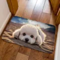 3D cute white puppy floor mat, absorbent non-slip door mat for entry and bathroom decor. - Beach White Pomeranian Style