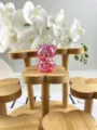 Transparent pink glitter bear squishy toy cute jelly decompression toy for desktop decor - Heart Style / Red