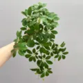 Artificial hanging green plant wall decor lifelike foliage vine for home room decoration - Medium Seven-Star Leaf Hanging Green 50cm