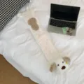 Langer Plüsch Hund Wärmflasche Bezug süßer Winter Bettwärmer kuschelige Wärmflasche - Weiß