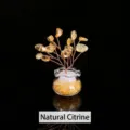 Arbre à argent en cristal de citrine bonsaï en pot en verre, décor de richesse. - Environ 7 cm de hauteur / Citrine Jaune Naturelle