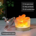 Lámpara de sal de cristal transparente tarro de vidrio con bloques de sal base de madera LED. - Transparente-2