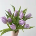 Fresh purple tulip bouquet variant, beautiful fresh cut flowers for floral arrangement design. - 300ml / Taro Purple