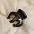 Glossy dark brown hair claw clip, minimalist hair accessory for daily styling and buns. - 5cm Round Spring / Chocolate