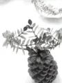 Corona de rama de olivo plateada diadema de novia hoja de laurel accesorio para el pelo - Blanco K/Plata