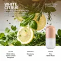 Capsule solid car air freshener, white pomelo cologne scent, long-lasting fragrance for auto. - [Yunxi] White Pomelo Cologne