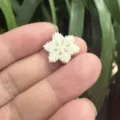 Mini white snowflake resin ornament for Christmas tree decor, moss micro landscape DIY accessory. - Snowflake