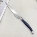 Stainless steel steak knife with dark handle, classic dining cutlery for kitchen and table. - Steak Knife / Black