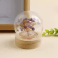 Kristallen Geldboom Amethyst Steen Glazen Koepel met Houten Basis Decor Variant - Amethist Geluksboom | Luchtige Glazen Kap