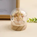 Natuurlijke gele kristal geldboom glazen koepel decoratie desktop kristallen boom - Citrien Geluksboom | Luchtige Glazen Kap