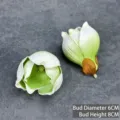 Künstliche EVA Magnolie Blumenkopf weiße künstliche Blumendekoration für Party 1 Stk - 6cm / Grüne Blütenknospe