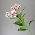 Τεχνητό κλαδί λουλουδιών Alstroemeria ψεύτικο φυτό για όμορφη εσωτερική διακόσμηση - Ροζ Λευκό