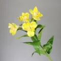 Artificial yellow alstroemeria fake flower single stem for home decor interior floral arrangement - Yellow