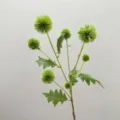 Decoración floral de cardo globo artificial cabeza de flor espinosa verde boda planta - Verde