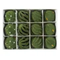 Juego de 12 bolas de Navidad floqueadas verdes de 6cm, adornos colgantes festivos. - Juego de 12 / B verde lima