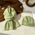 Light green knitted beanie hat and winter scarf set, ribbed cozy thermal 2-piece set. - Ivy Green (Scarf + Hat)
