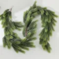 Kiefernnadelranken