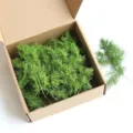 30 Stems Pack / Dark Green