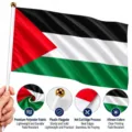 Handflagge