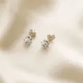 Pendientes de Botón de Diamante de Seis Garras / Color acero