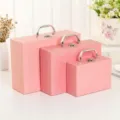 Medium 24x17x7.5cm / Pink
