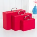 Medium 24x17x7.5cm / Red