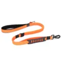 For Large Dogs / Orange