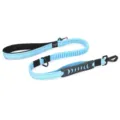 For Large Dogs / Blue
