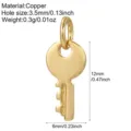 Small Key (AC23100G11)