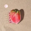 Pink Green Anthurium Leaf Style (H1504)