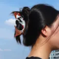 Koi Fish Hair Claw (H1087)