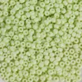 53 / 30g (environ 450 pcs)