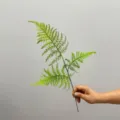 55cm 3 Φύλλα Μονός Κλάδος / ανοιχτό πράσινο