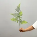 75cm 5 Φύλλα Μονός Κλάδος / ανοιχτό πράσινο