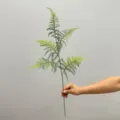 75cm 5 Φύλλα Μονός Κλάδος / σκούρο πράσινο
