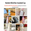 Mystery Box Insulated Mug [Random Capacity/Style]