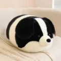 Hond