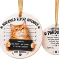 Orange Tabby Mugshot